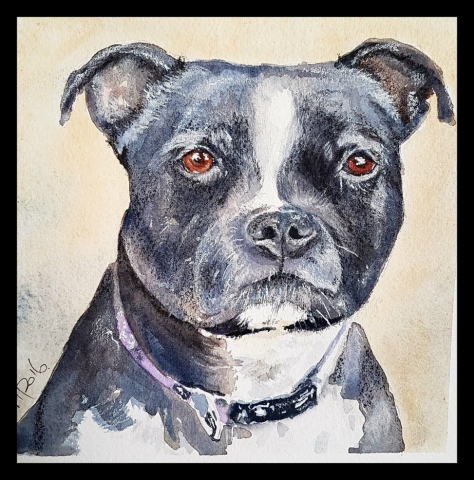 Recent commission