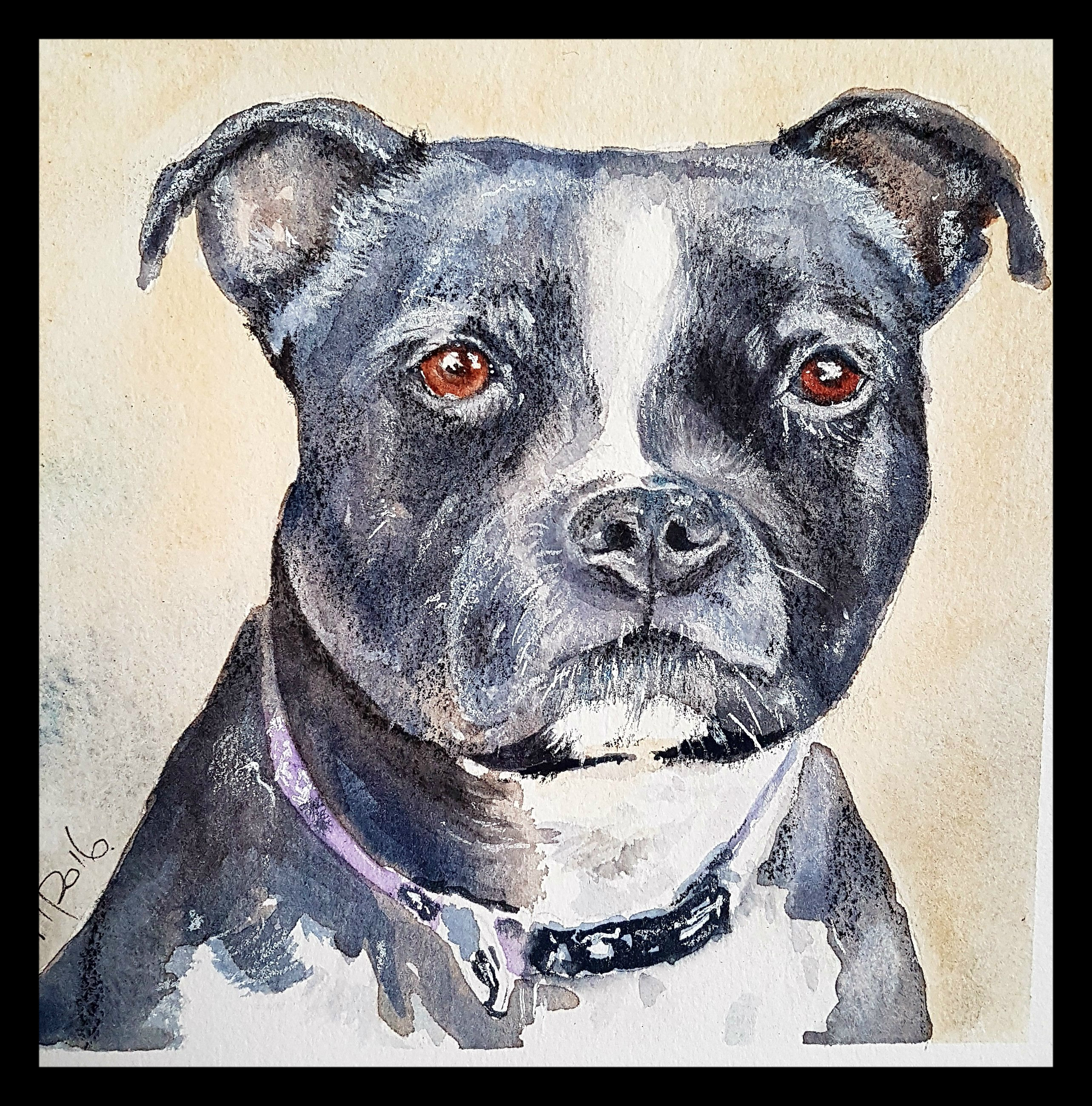 Recent commission